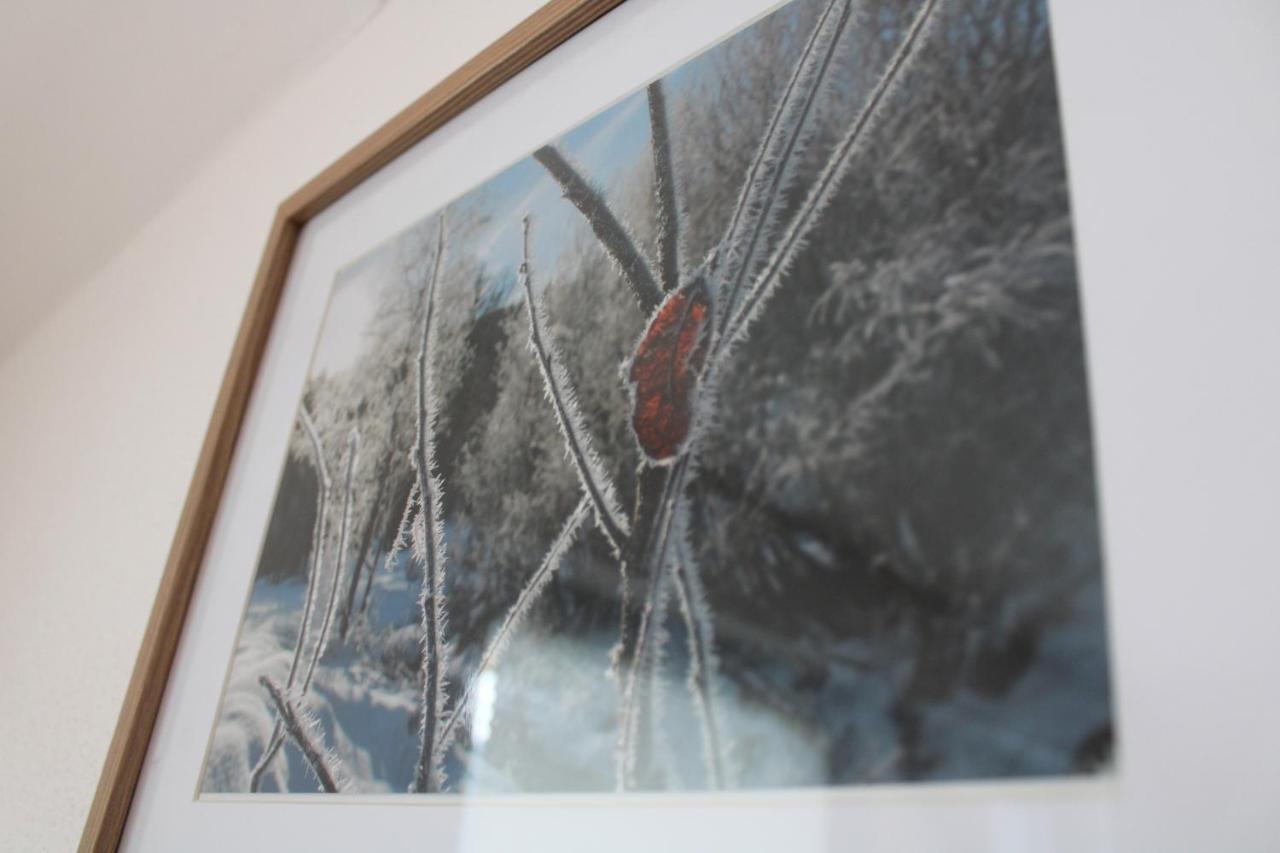 Apartment Zirmweber-Haus Sankt Johann im Pongau Kültér fotó